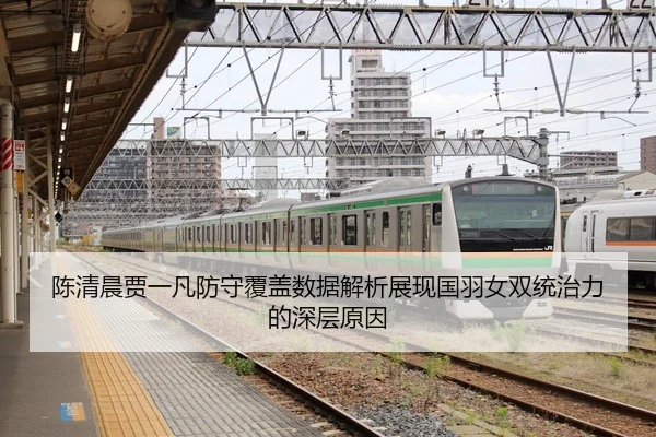 陈清晨贾一凡防守覆盖数据解析展现国羽女双统治力的深层原因