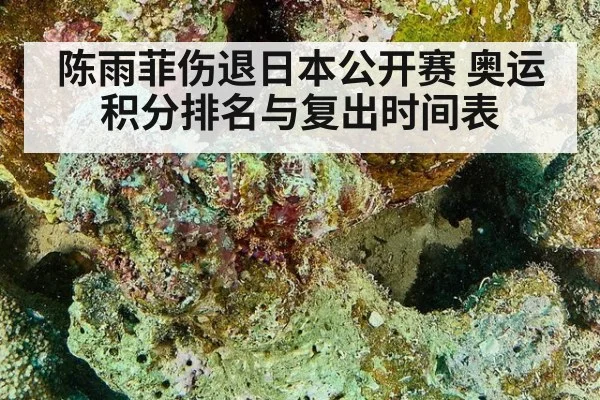 陈雨菲伤退日本公开赛 奥运积分排名与复出时间表