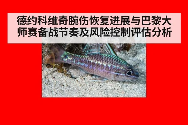 德约科维奇腕伤恢复进展与巴黎大师赛备战节奏及风险控制评估分析